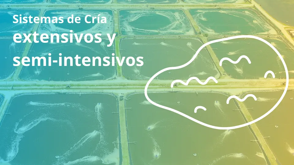 Sistemas de Cría Extensivos y Semi-Intensivos para Cultivos de Peces de Aguas Cálidas