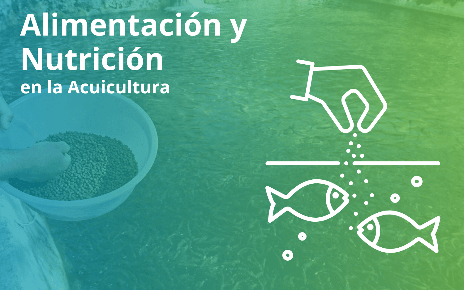 Alimentación y nutrición en la acuicultura