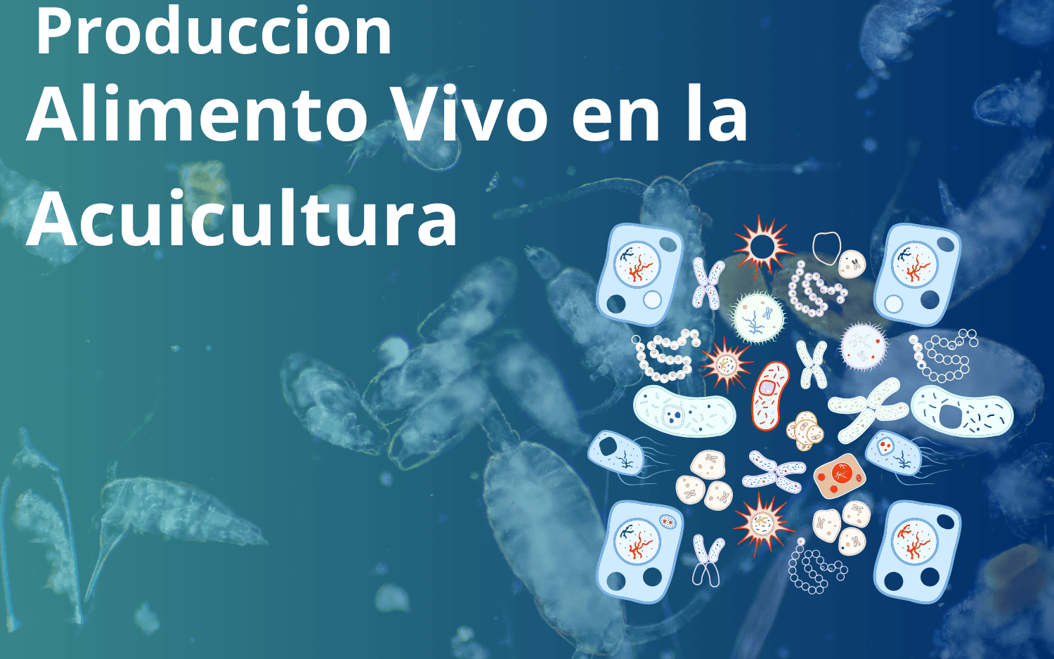 Produccion de alimento vivo en la acuicultura